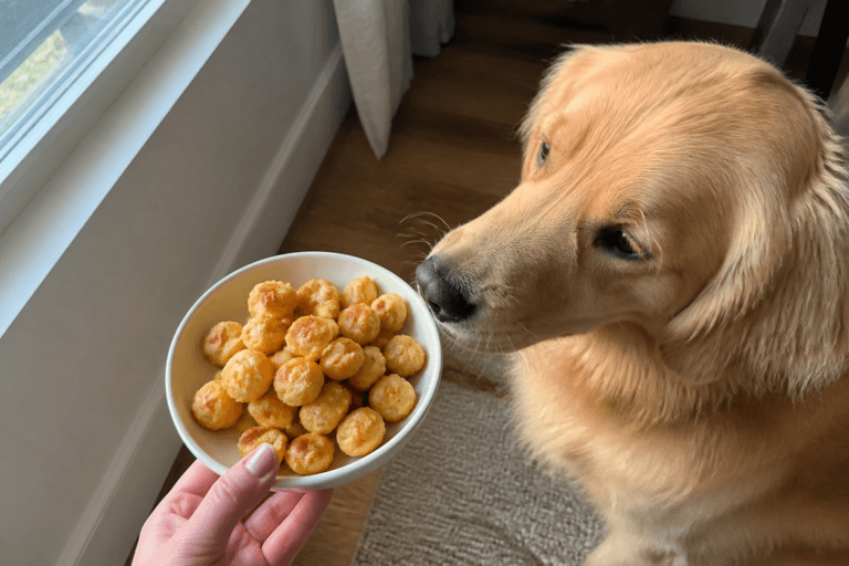 Air Fryer Cottage Cheese And Carrot Dog Puffs